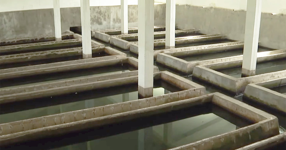 Милионски загуби, долгови и блокирани сметки – финансиски биланси на локалните јавни претпријатија